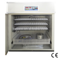 Heating Element for Egg Incubator China with Incubators Egg Trays